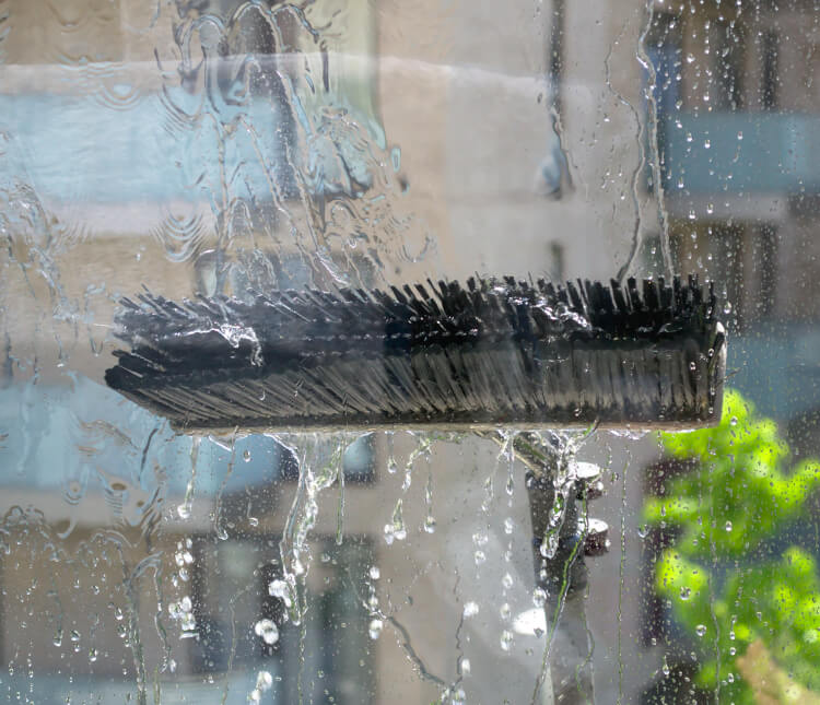 Window Cleaner in Rotherham